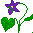 NJflower