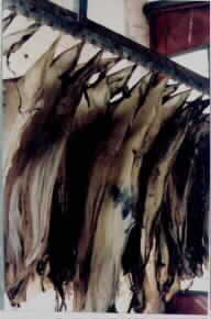 skins drying