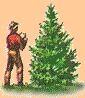/user/woodlog.jpg