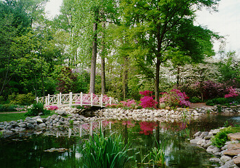 Picture taken at Sayen Gardens, Hamilton Square in Spring 1997