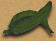 Green plantains