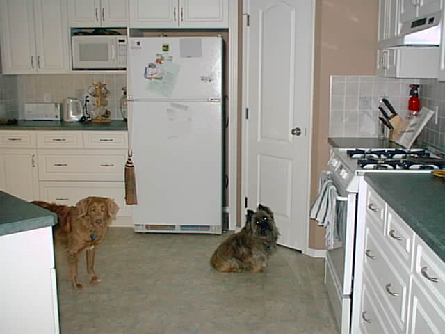 here you'll find Rufus