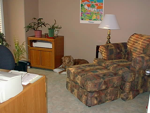 Where Teak hangs out now