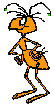 Small Ant