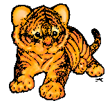 Tiger Cub