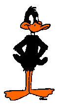 Daffy
