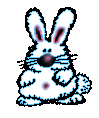Dumb Bunny
