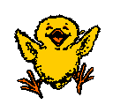 Click The Chick