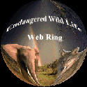Endangered Wildlife Webring