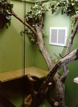 Close up of Cujo's home