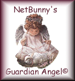 Guardian Angel to watch over my site.