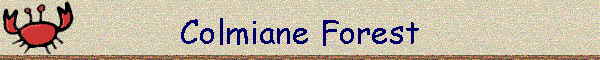 Colmiane Forest