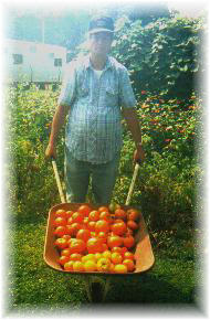 My Garden