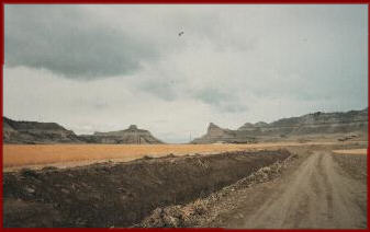 oregontrail
