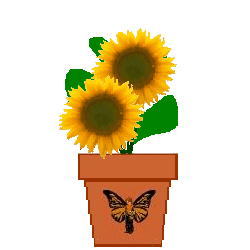 Send a Spirit Flower!