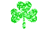 Clover