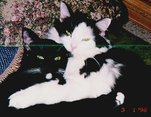 gypsy&quincy