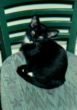 quincy