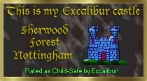 Click to Get Your Excalibur Castle