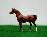 chestnut