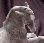 Grey Dawn head
