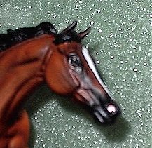 Thrill head study