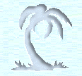palm tree right