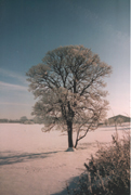 photo d