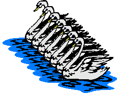 Seven Swans a-Swimming