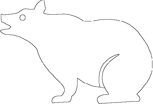 Black Bear