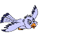 bird