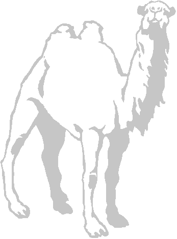 2 humped-Camel
