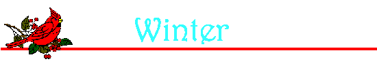 Abigail's Christmas Applet