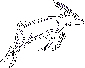 Antelope