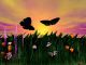 butterflies