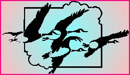 geese
