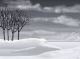 in the winter