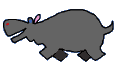Hippo