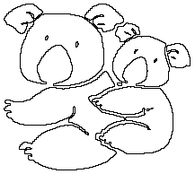 Koalas