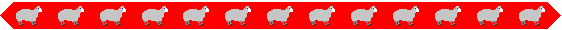 lambs