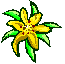 Lily of the Valley