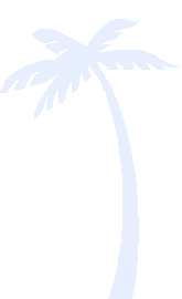 Palm
