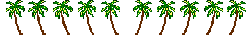 Palms