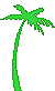 Palm