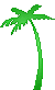 Palm