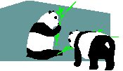 Two Pandas