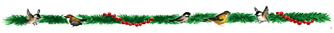 Pine