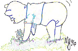 Pooh Bear
