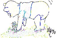 Pooh Bear