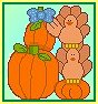 turkeys and pumkins